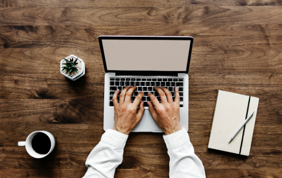 Content Writer